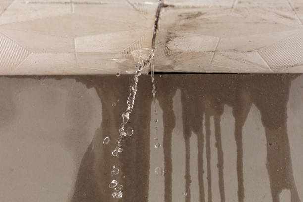 Professional Flood Damage Cleanup technician working in Whittaker, MI
